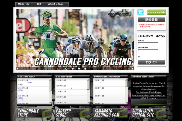 Cog theme site design template sample