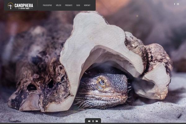 DK theme site design template sample