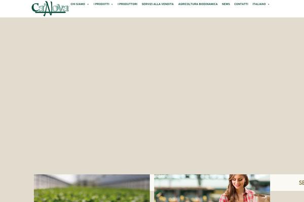 Bridge theme site design template sample
