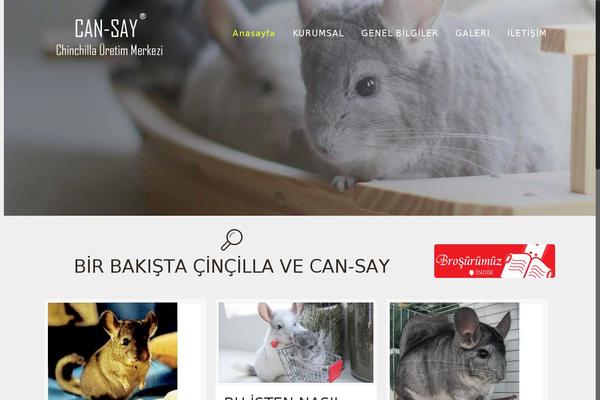 cansay.net site used Cansaybe