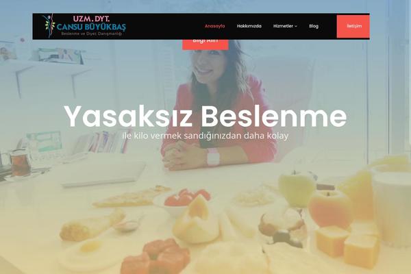 Porto theme site design template sample