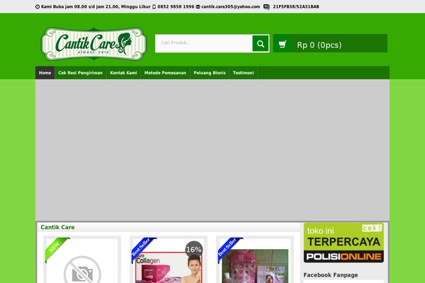 Wp-pasar theme site design template sample