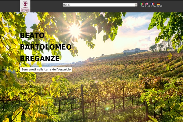 Montreal theme site design template sample