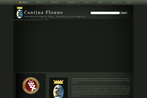 Flash theme site design template sample