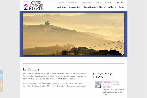 Site using CookieInfo plugin