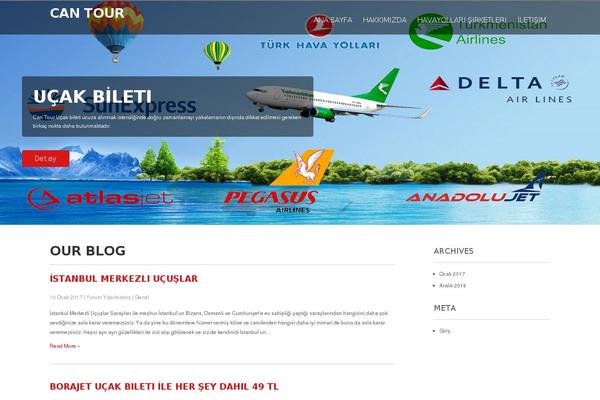 Precious Lite theme site design template sample