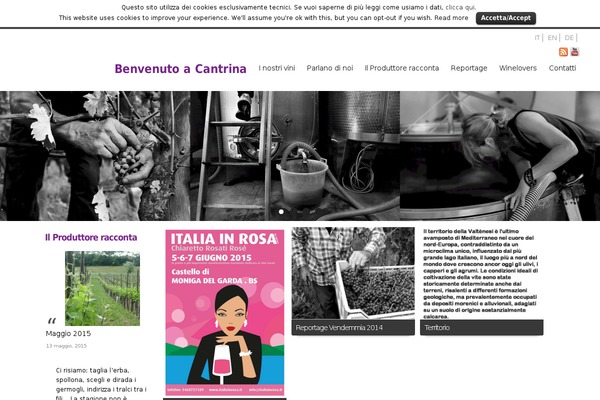 Panoramica theme site design template sample