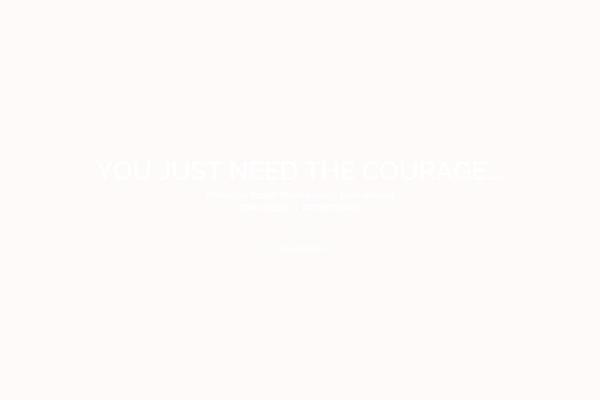 North theme site design template sample