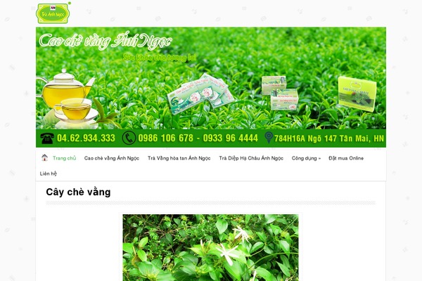 Minimalia theme site design template sample
