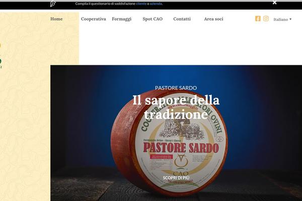 Site using Wpml-translation-management plugin