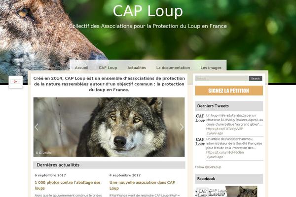 Sixteen theme site design template sample