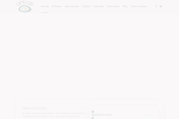 Psychare theme site design template sample