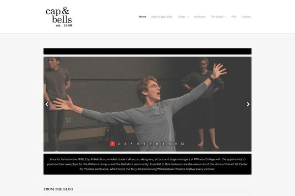 Elegant theme site design template sample