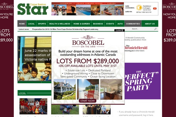 All News theme site design template sample