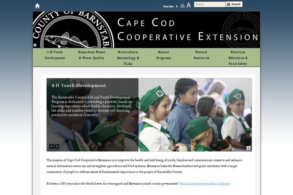 Extension theme site design template sample