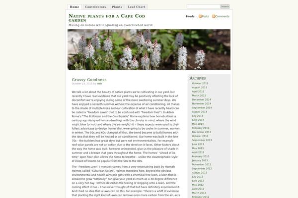 Misty Look theme site design template sample