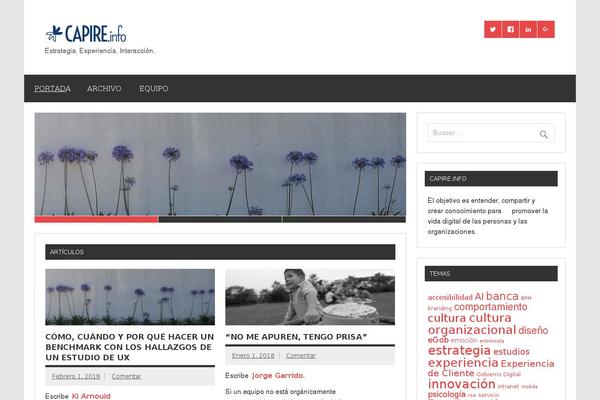 Dynamic News Lite theme site design template sample