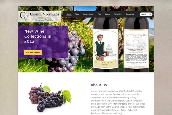 thevineyard theme websites examples