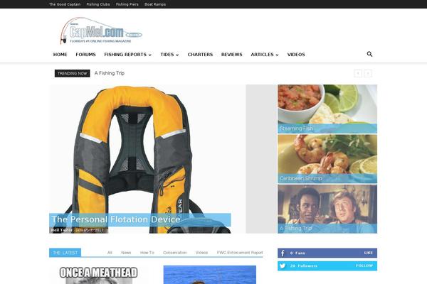 Site using Ad-invalid-click-protector plugin