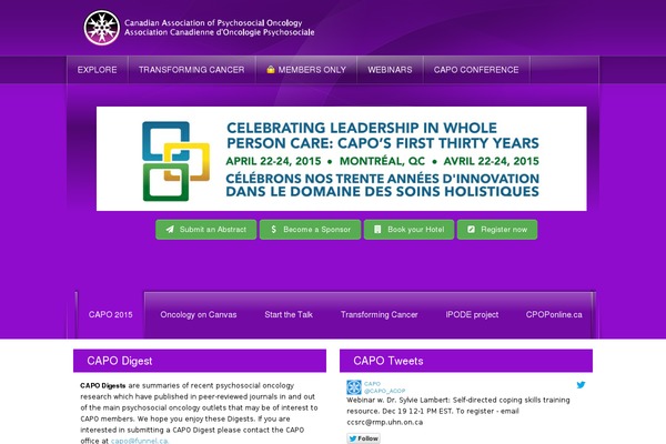 Rt_crystalline_wp theme site design template sample