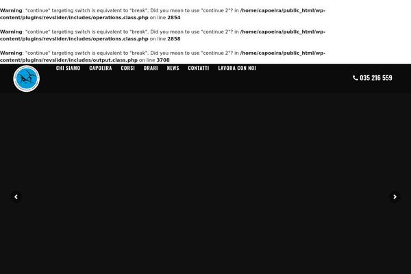 Site using Wallsio plugin
