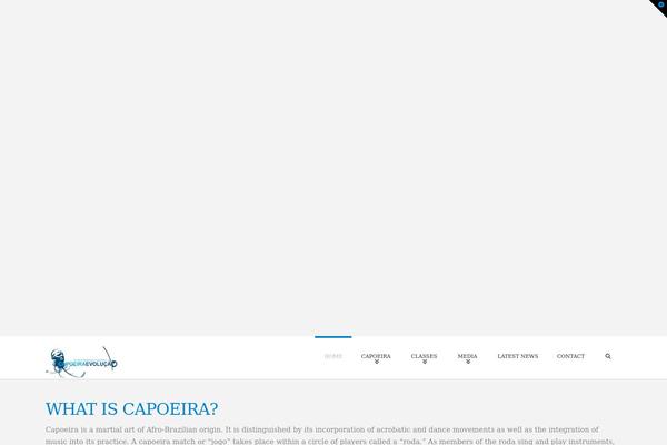 Site using YouTube SimpleGallery plugin