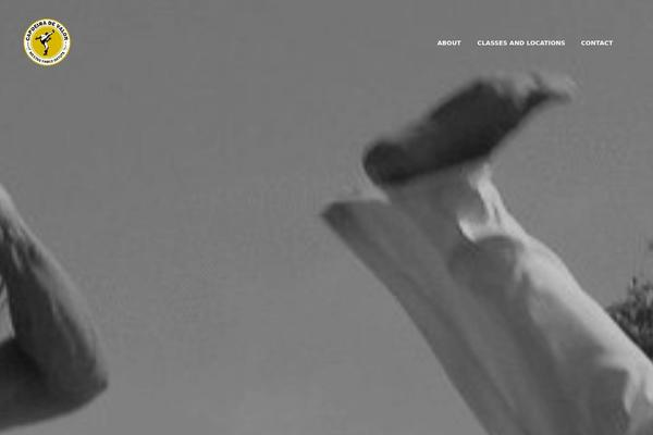 Site using Shopkeeper-portfolio plugin