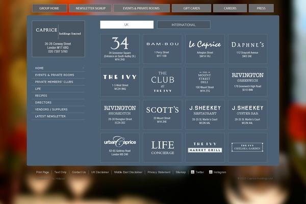 Caprice theme site design template sample