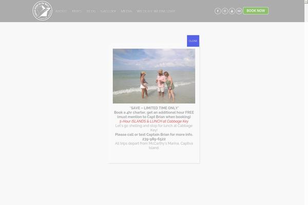 Site using All in One SEO Pack plugin