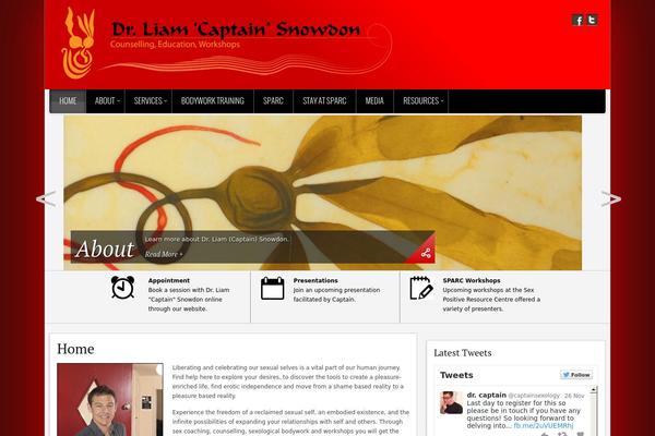 Voxel theme site design template sample