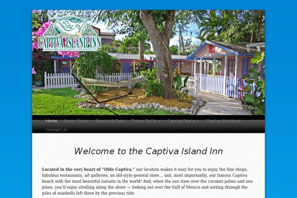 Captiva theme site design template sample