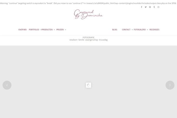 Site using Portfolio Gallery plugin
