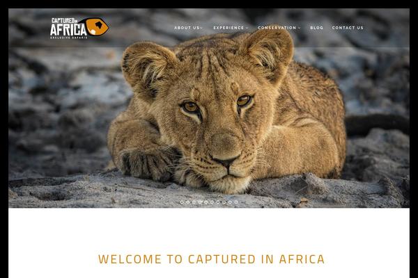 Borderland theme site design template sample