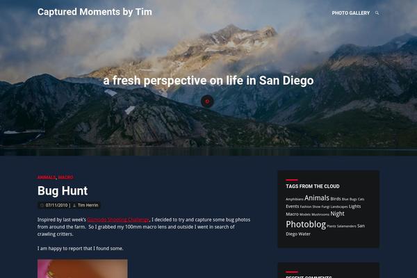 Identity theme site design template sample