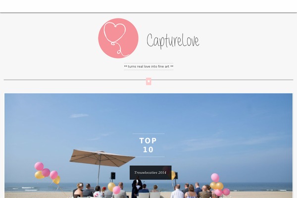 Shapely theme site design template sample
