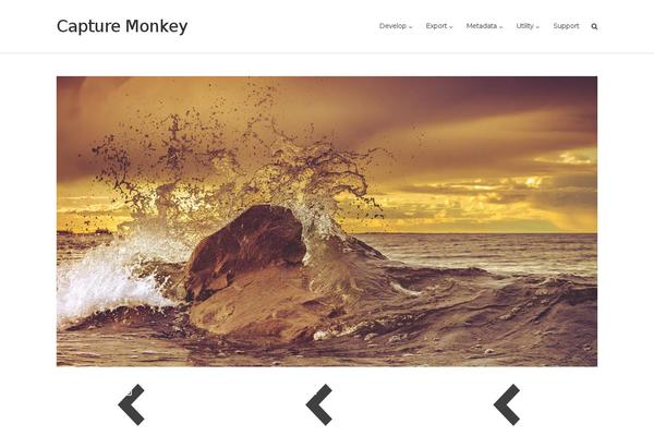 Ultra theme site design template sample