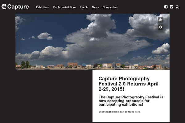 Capture theme site design template sample