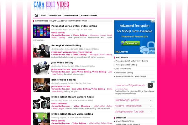 Borderseo theme site design template sample