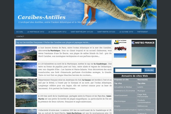 trablog theme websites examples