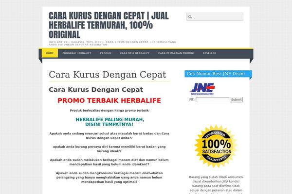 Living Journal theme site design template sample