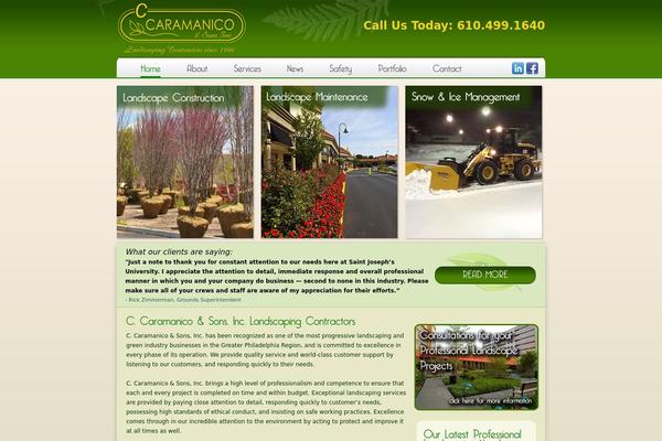 Cara theme site design template sample