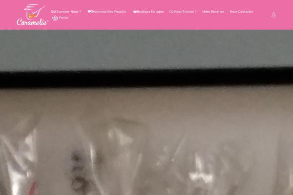 Findgo theme site design template sample