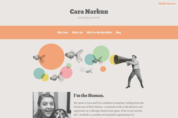 caranarkun.com site used Only