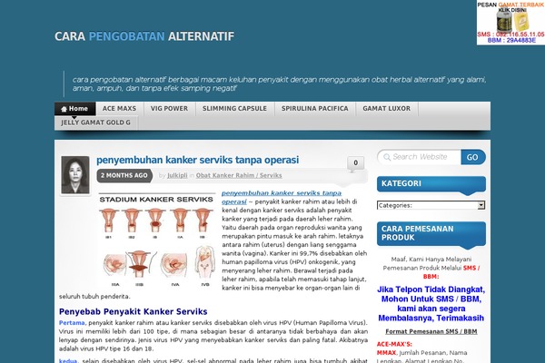 Mystique theme site design template sample