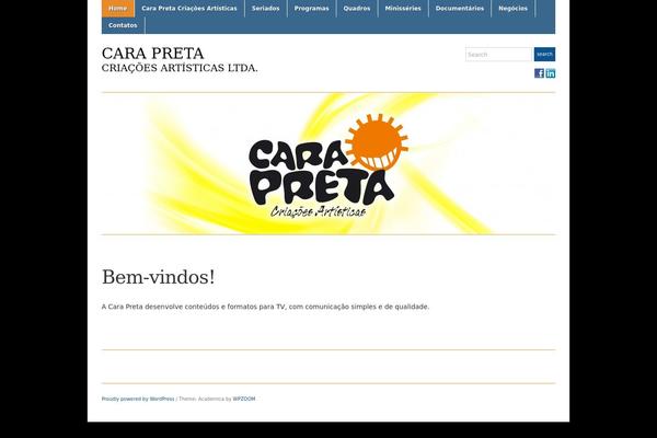 Academica theme site design template sample