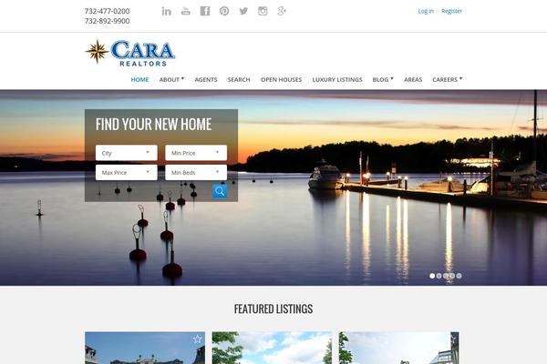 Chicago theme site design template sample