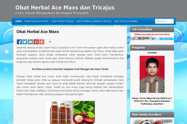 Admired theme site design template sample