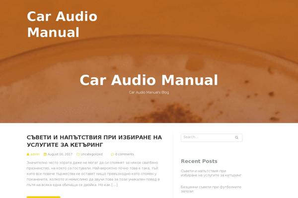 caraudiomanual.net site used Illdy