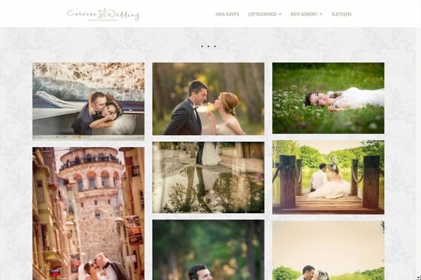 Cesar theme site design template sample