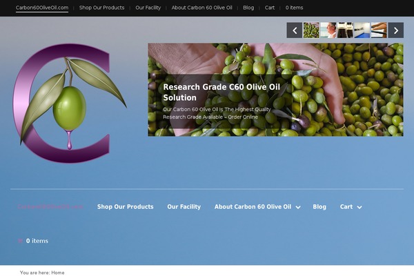 Site using Theme-customisations-master plugin